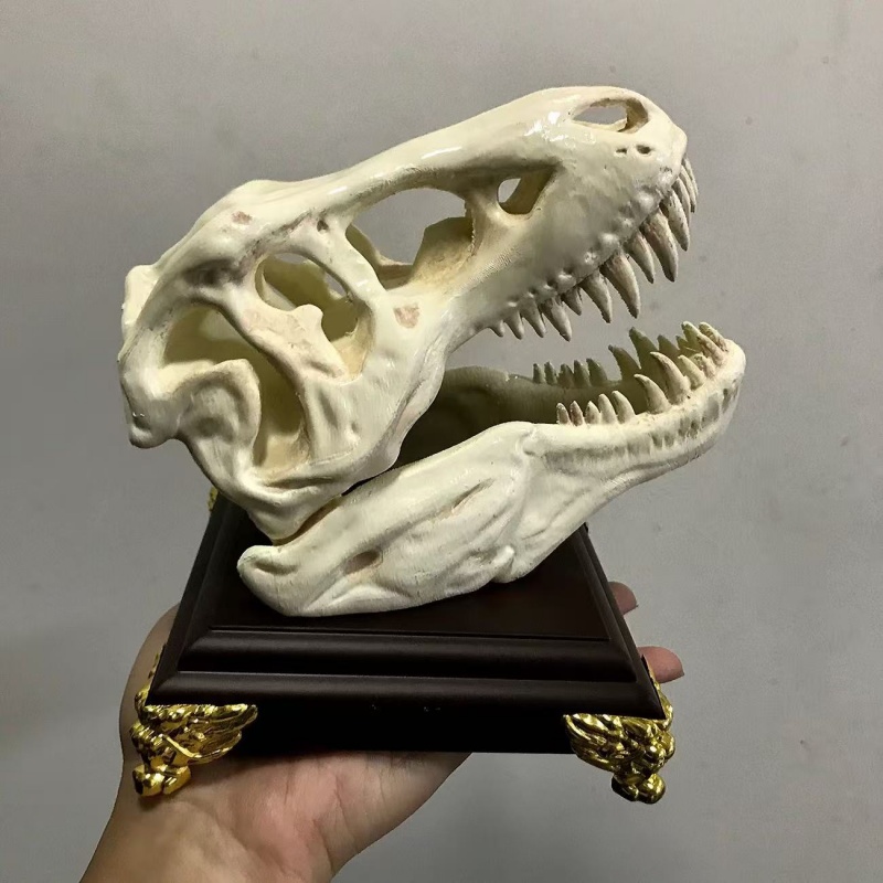 3D Printing Enthusiast - 3Dプリントされたティラノサウルスレックスの頭蓋骨模型、水槽やデスクトップの飾り、創造的なコレクターズアイテム、恐竜フィギュア、趣味愛好家のためのギフト