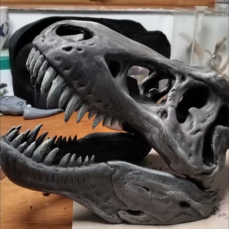 3Dプリントされたティラノサウルスレックスの頭蓋骨模型、水槽 - 3D Printing Enthusiast のレビューと価格
