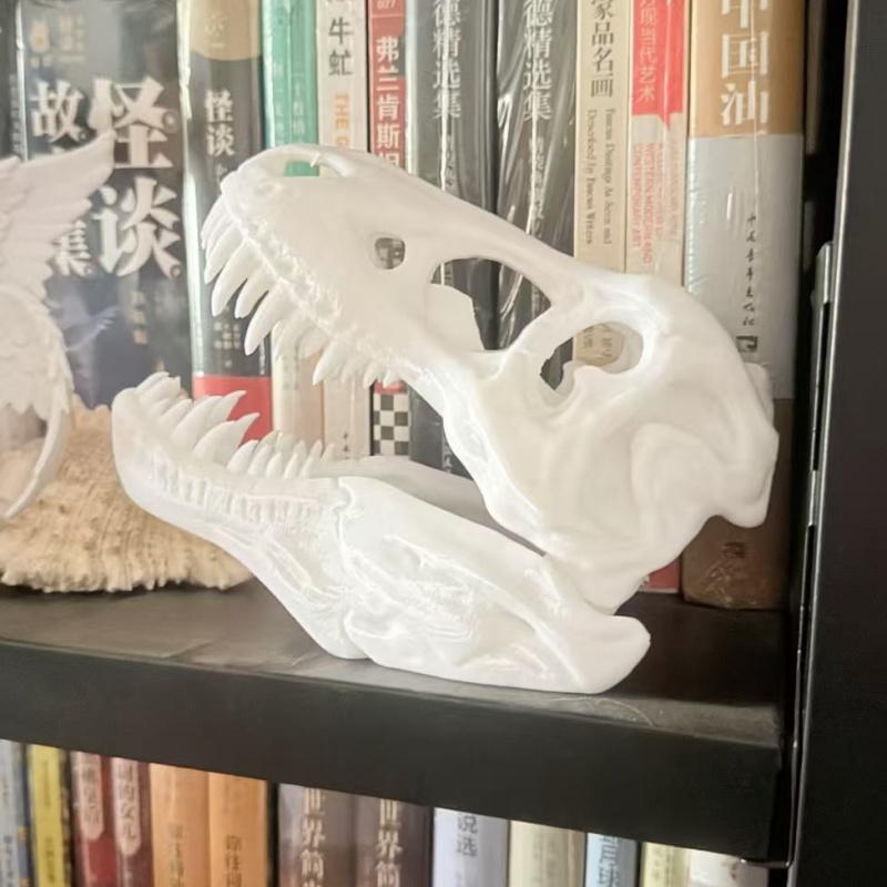 3Dプリントされたティラノサウルスレックスの頭蓋骨模型、水槽 - 3D Printing Enthusiast のレビューと価格