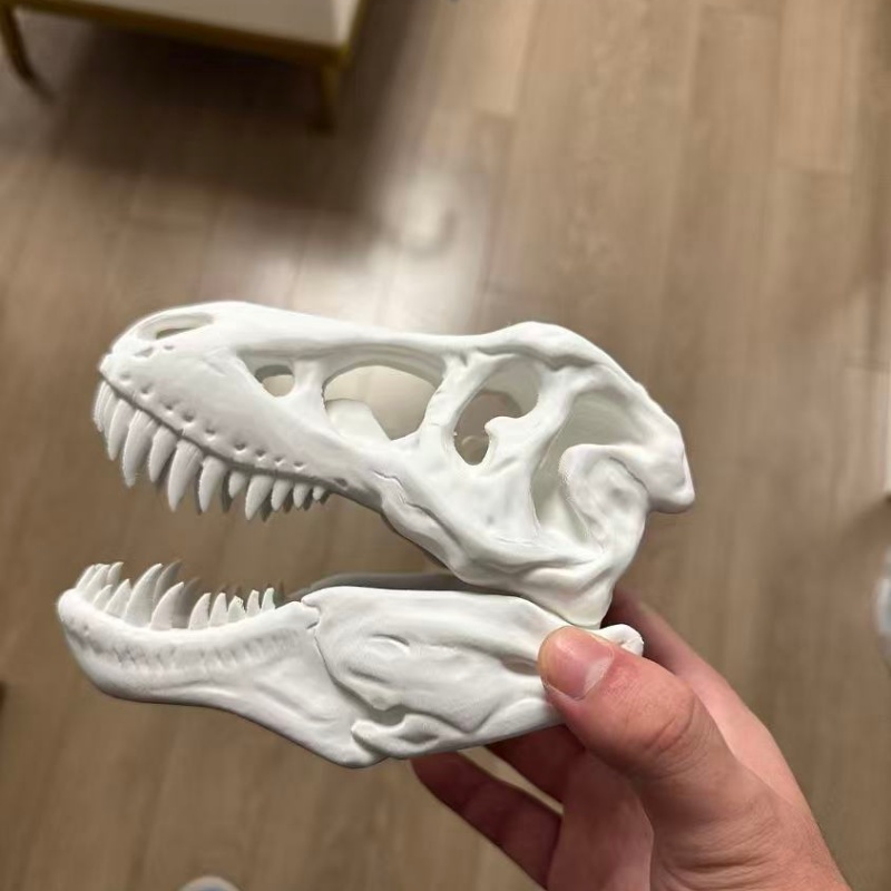 3Dプリントされたティラノサウルスレックスの頭蓋骨模型、水槽 - 3D Printing Enthusiast のレビューと価格